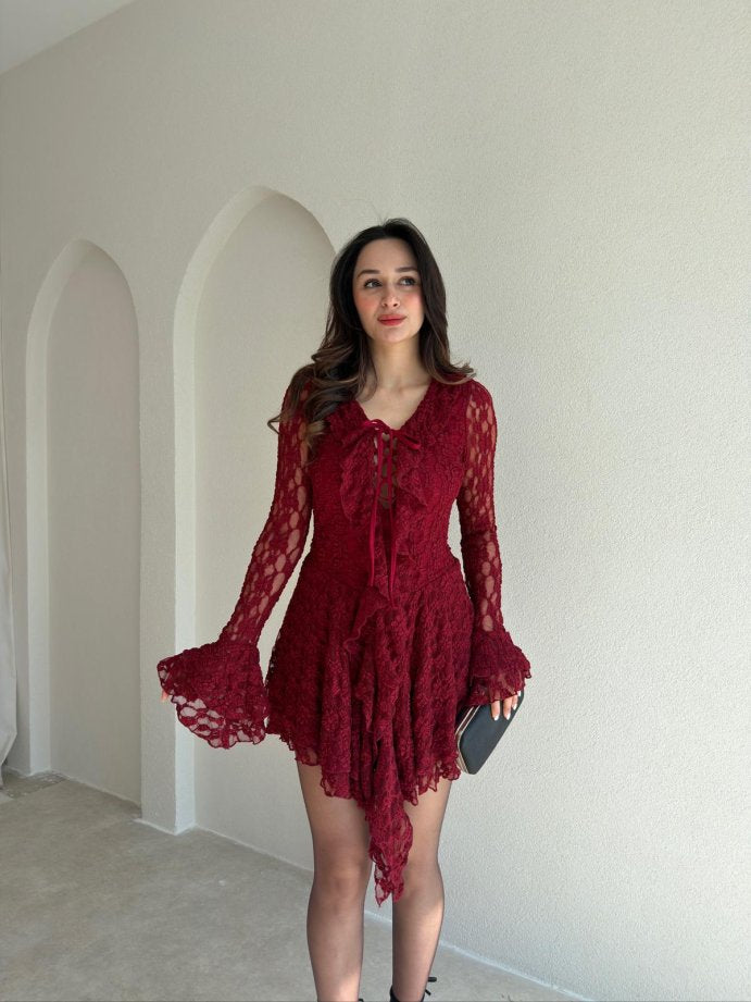 Dantelli Lace Mini Dress