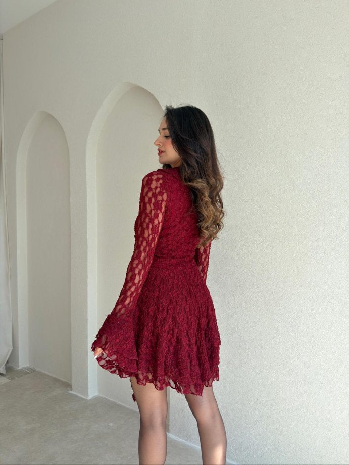 Dantelli Lace Mini Dress